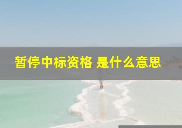 暂停中标资格 是什么意思